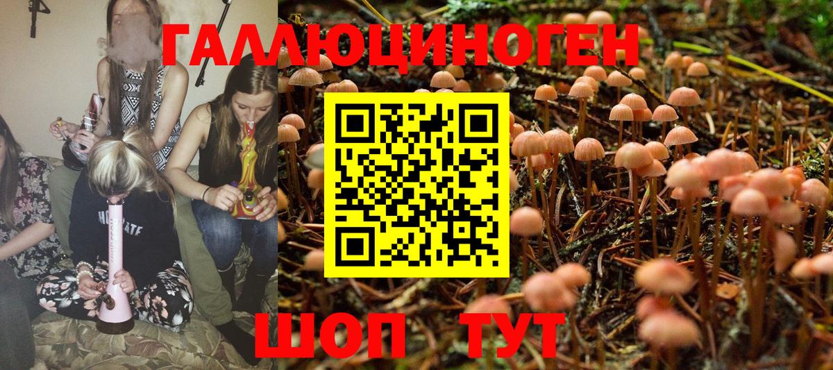 Псилоцибиновые грибы Magic Shrooms Выборг