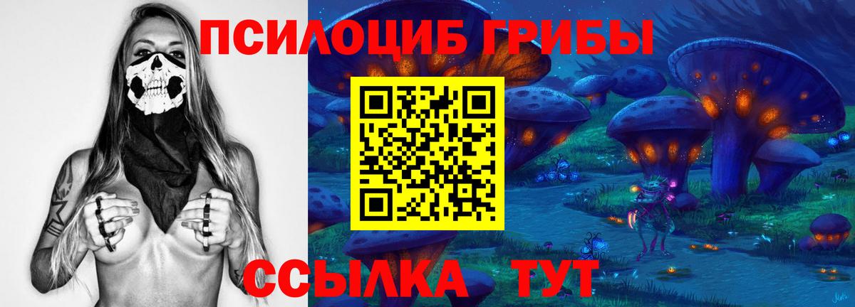 Псилоцибиновые грибы ЛСД  Вход с VPN  Выборг  Псилоцибиновые грибы ЛСД 